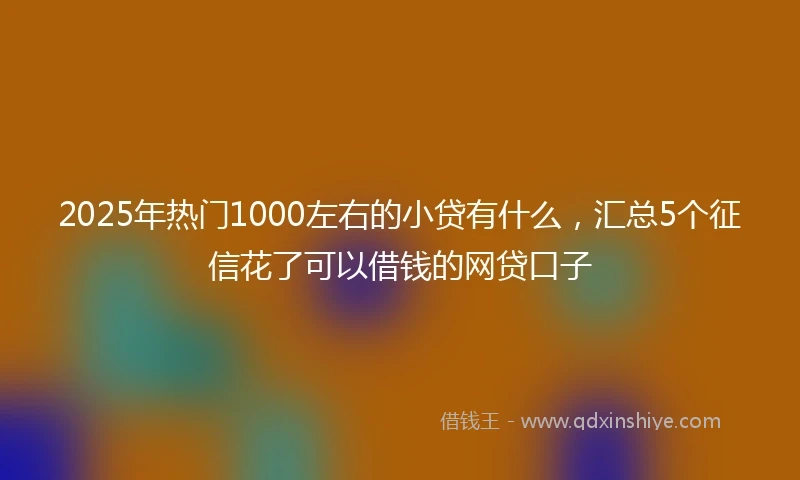 2025年热门1000左右的小贷有什么，汇总5个征信花了可以借钱的网贷口子