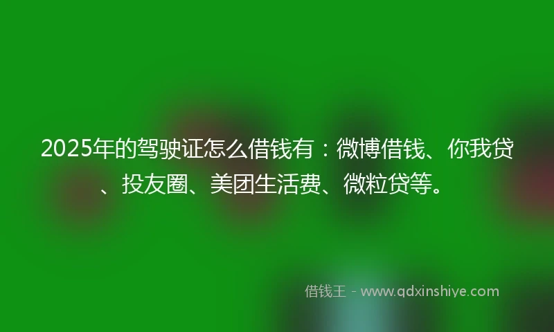 2025年的驾驶证怎么借钱有：微博借钱、你我贷、投友圈、美团生活费、微粒贷等。