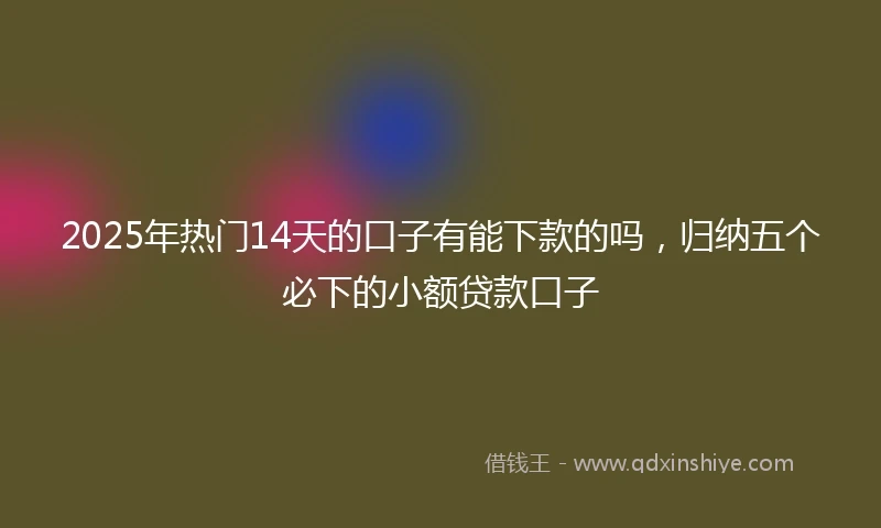 2025年热门14天的口子有能下款的吗，归纳五个必下的小额贷款口子