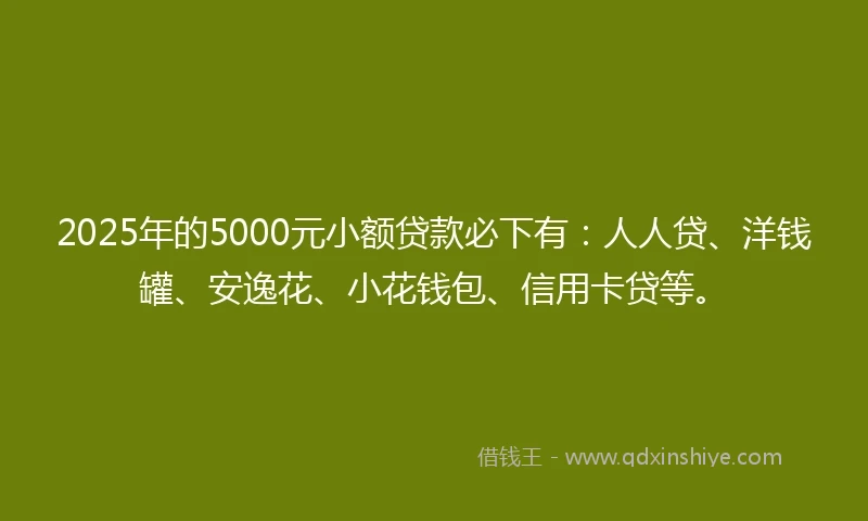 2025年的5000元小额贷款必下有：人人贷、洋钱罐、安逸花、小花钱包、信用卡贷等。