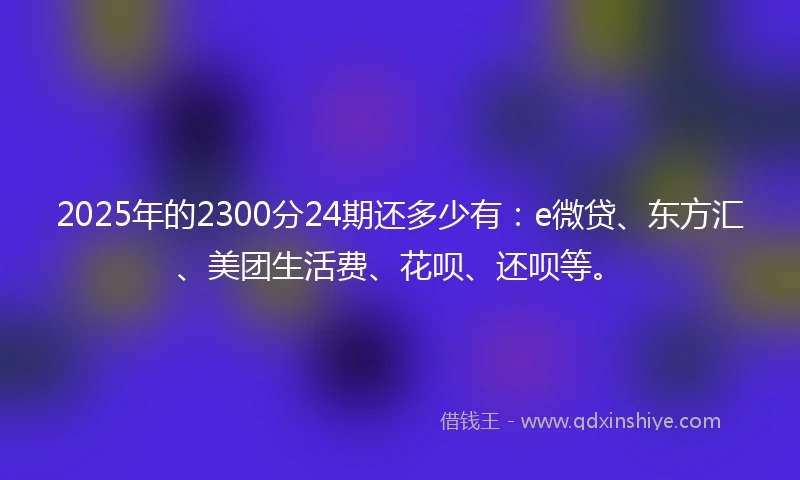2025年的2300分24期还多少有：e微贷、东方汇、美团生活费、花呗、还呗等。