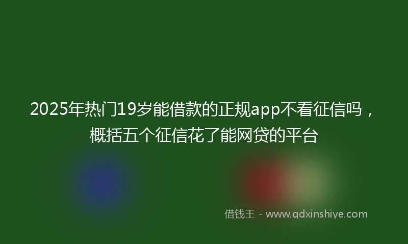 2025年热门19岁能借款的正规app不看征信吗，概括五个征信花了能网贷的平台
