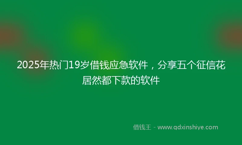 2025年热门19岁借钱应急软件,分享五个征信花居然都下款的软件