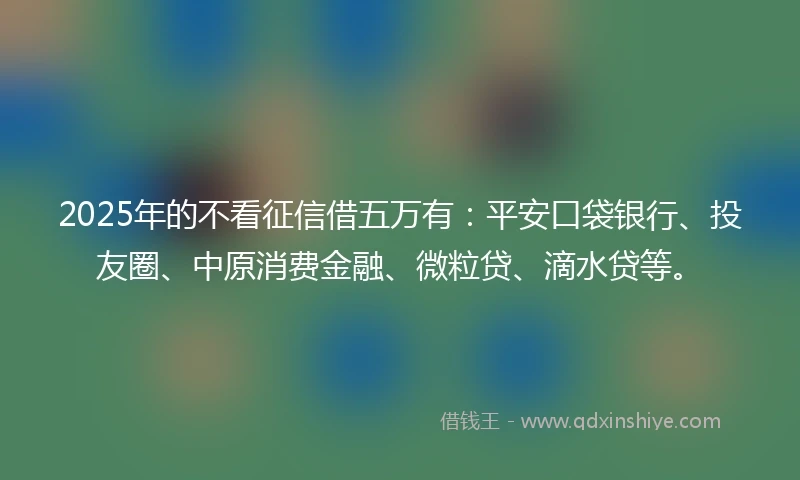 2025年的不看征信借五万有：平安口袋银行、投友圈、中原消费金融、微粒贷、滴水贷等。