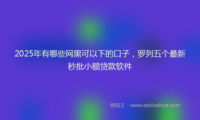 2025年有哪些网黑可以下的口子,罗列五个最新秒批小额贷款软件