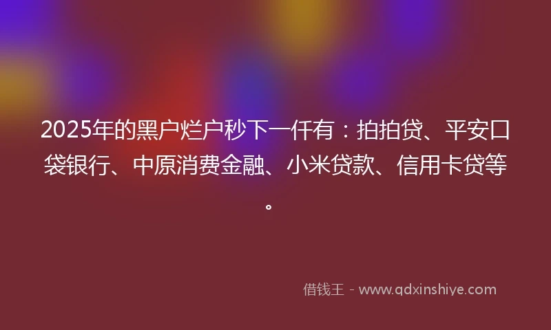 2025年的黑户烂户秒下一仟有：拍拍贷、平安口袋银行、中原消费金融、小米贷款、信用卡贷等。