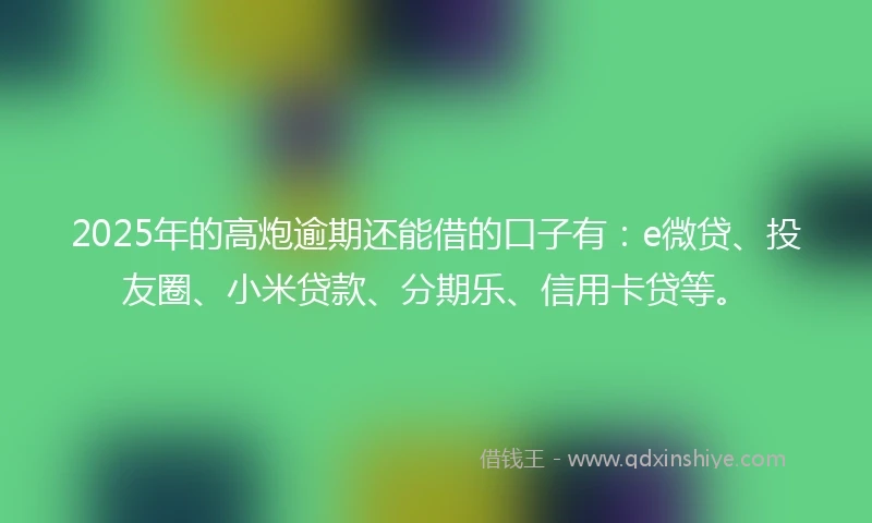 2025年的高炮逾期还能借的口子有：e微贷、投友圈、小米贷款、分期乐、信用卡贷等。