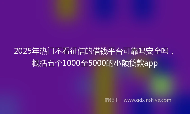 2025年热门不看征信的借钱平台可靠吗安全吗，概括五个1000至5000的小额贷款app