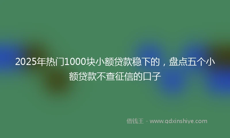 2025年热门1000块小额贷款稳下的，盘点五个小额贷款不查征信的口子