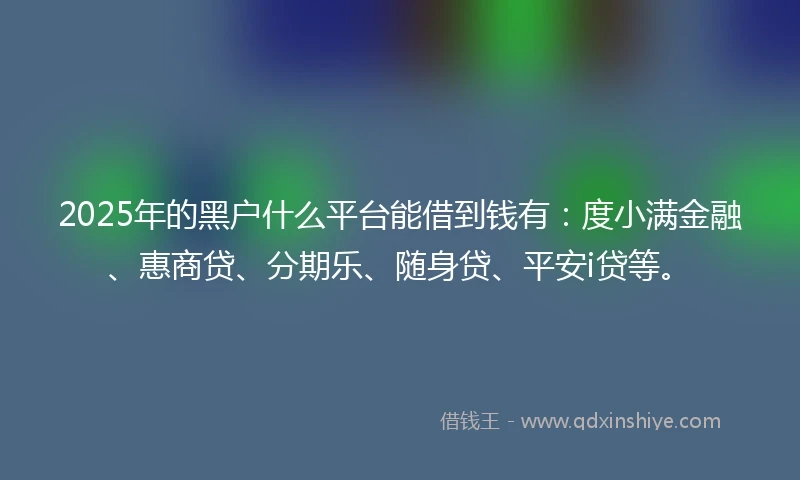 2025年的黑户什么平台能借到钱有：度小满金融、惠商贷、分期乐、随身贷、平安i贷等。