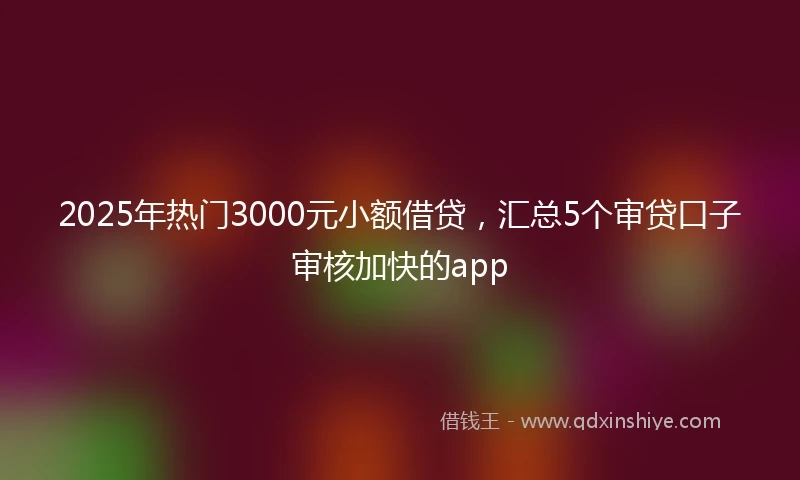 2025年热门3000元小额借贷，汇总5个审贷口子审核加快的app