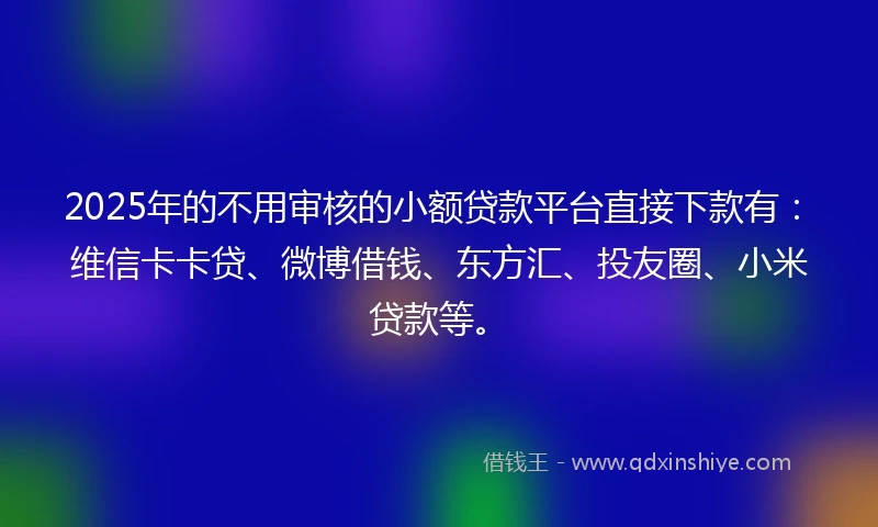 2025年的不用审核的小额贷款平台直接下款有：维信卡卡贷、微博借钱、东方汇、投友圈、小米贷款等。