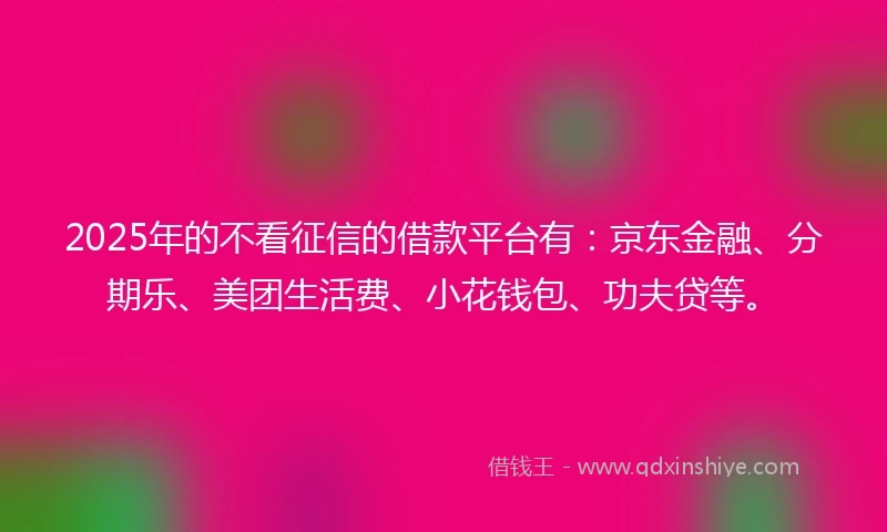 2025年的不看征信的借款平台有：京东金融、分期乐、美团生活费、小花钱包、功夫贷等。