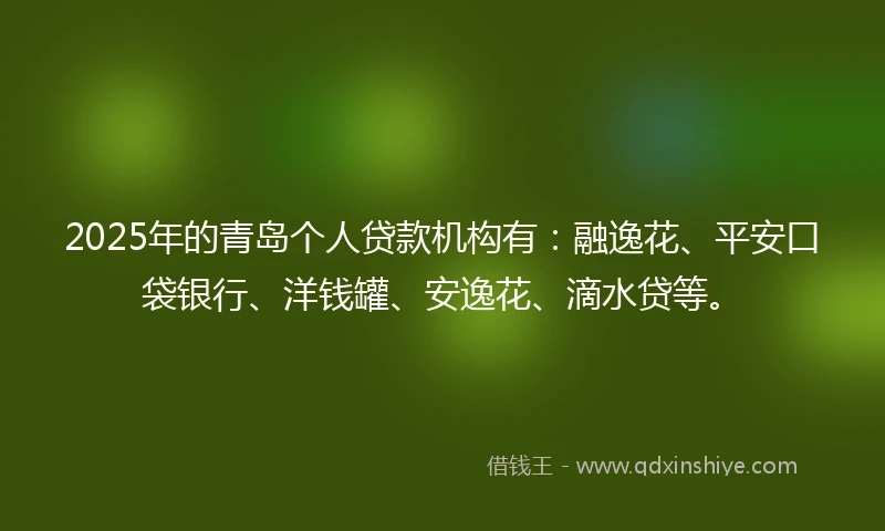 2025年的青岛个人贷款机构有：融逸花、平安口袋银行、洋钱罐、安逸花、滴水贷等。