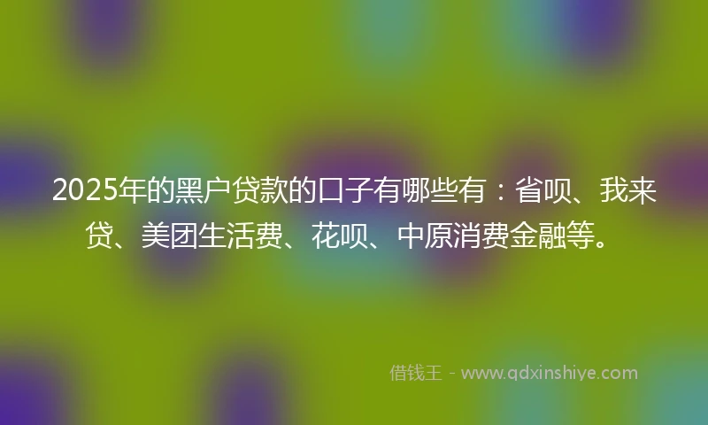 2025年的黑户贷款的口子有哪些有:省呗、我来贷、美团生活费、花呗、中原消费金融等。