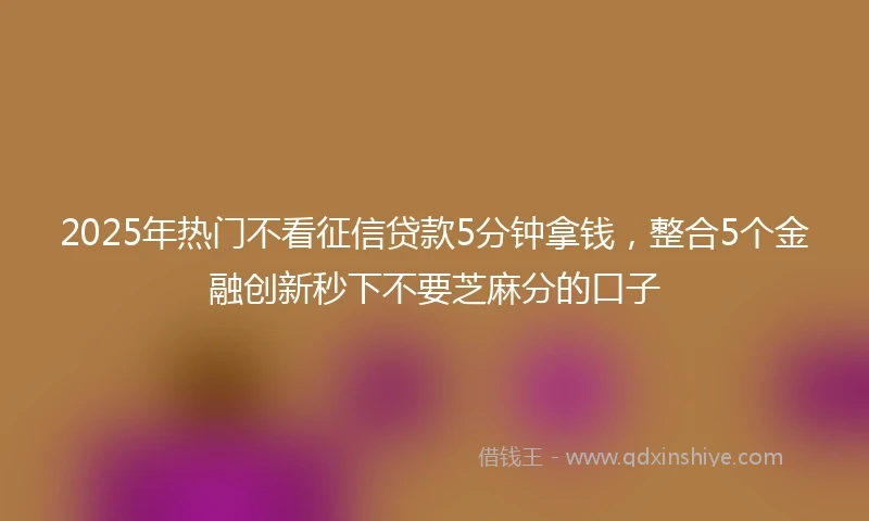 2025年热门不看征信贷款5分钟拿钱,整合5个金融创新秒下不要芝麻分的口子