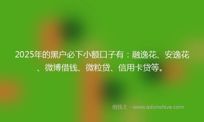 2025年的黑户必下小额口子有：融逸花、安逸花、微博借钱、微粒贷、信用卡贷等。