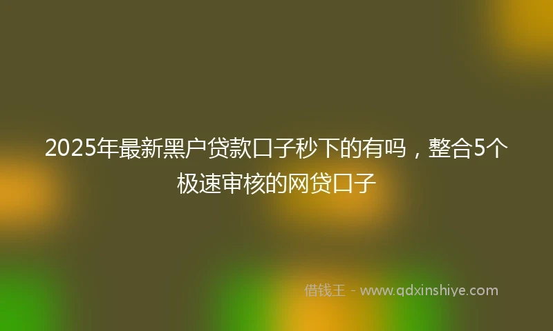 2025年最新黑户贷款口子秒下的有吗，整合5个极速审核的网贷口子