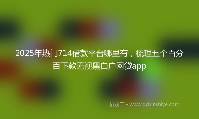 2025年热门714借款平台哪里有，梳理五个百分百下款无视黑白户网贷app