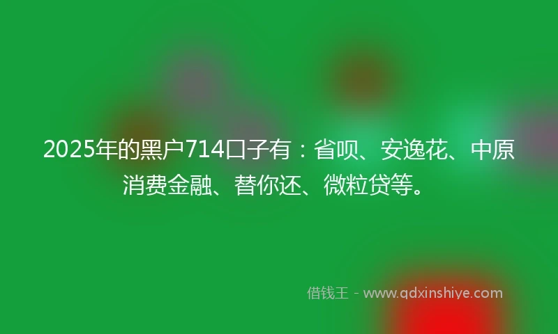 2025年的黑户714口子有：省呗、安逸花、中原消费金融、替你还、微粒贷等。