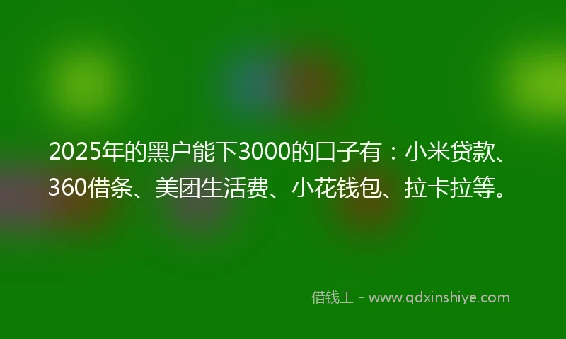 2025年的黑户能下3000的口子有：小米贷款、360借条、美团生活费、小花钱包、拉卡拉等。
