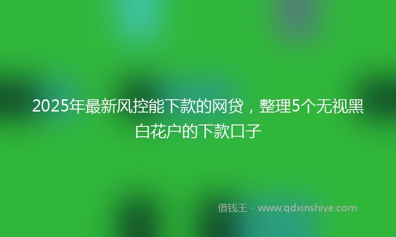 2025年最新风控能下款的网贷，整理5个无视黑白花户的下款口子