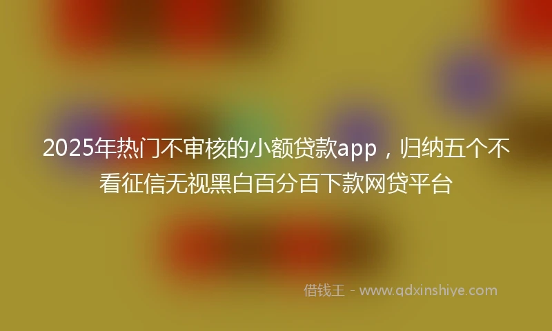 2025年热门不审核的小额贷款app，归纳五个不看征信无视黑白百分百下款网贷平台