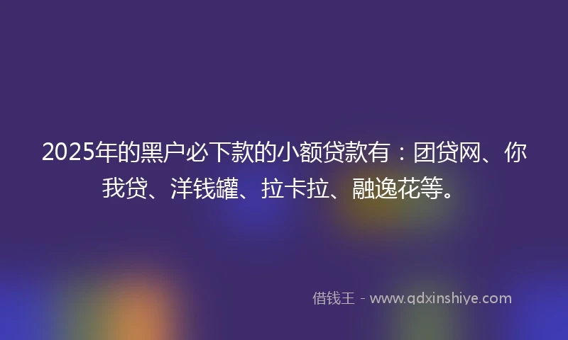 2025年的黑户必下款的小额贷款有：团贷网、你我贷、洋钱罐、拉卡拉、融逸花等。