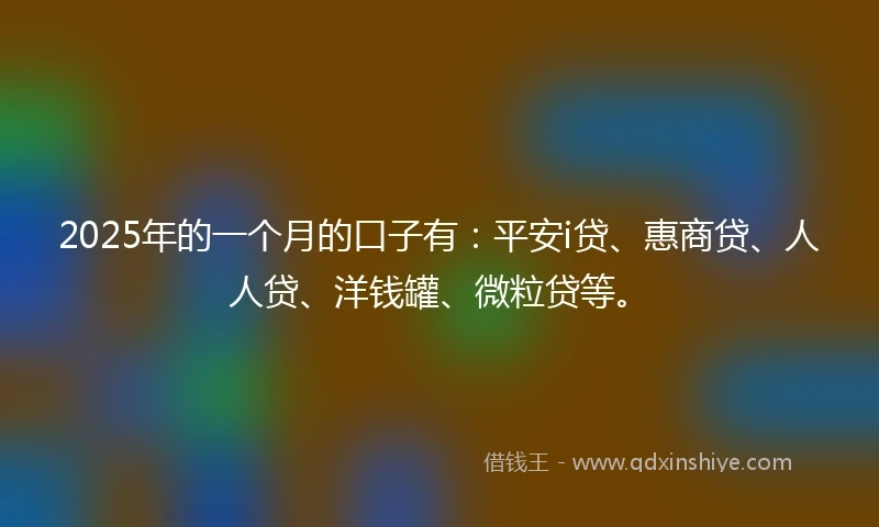 2025年的一个月的口子有：平安i贷、惠商贷、人人贷、洋钱罐、微粒贷等。