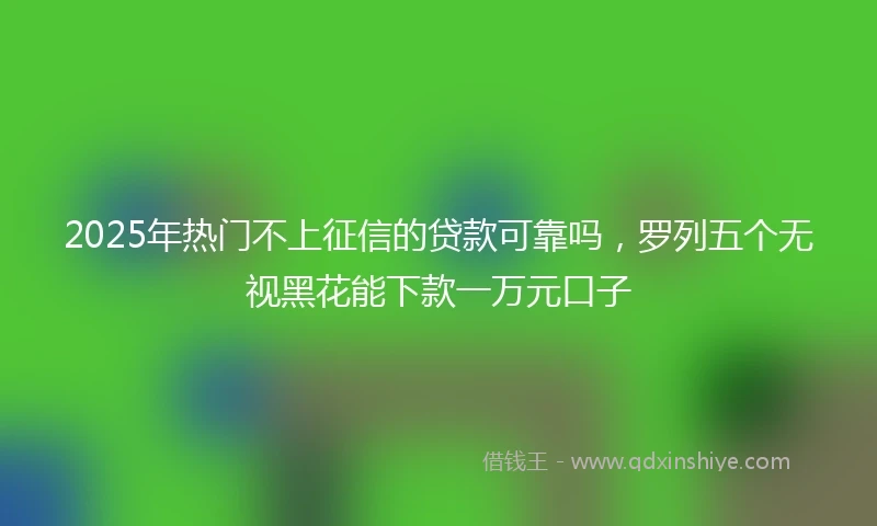 2025年热门不上征信的贷款可靠吗，罗列五个无视黑花能下款一万元口子