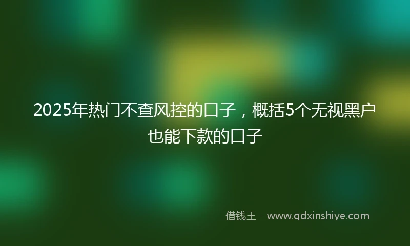2025年热门不查风控的口子，概括5个无视黑户也能下款的口子