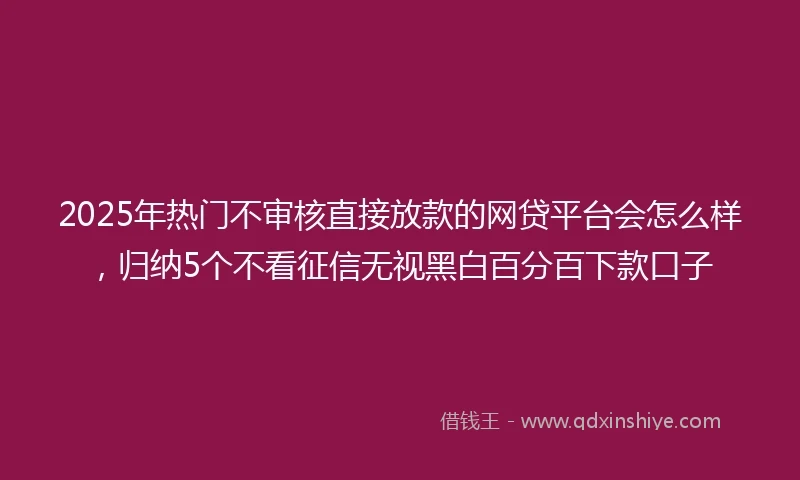2025年热门不审核直接放款的网贷平台会怎么样，归纳5个不看征信无视黑白百分百下款口子