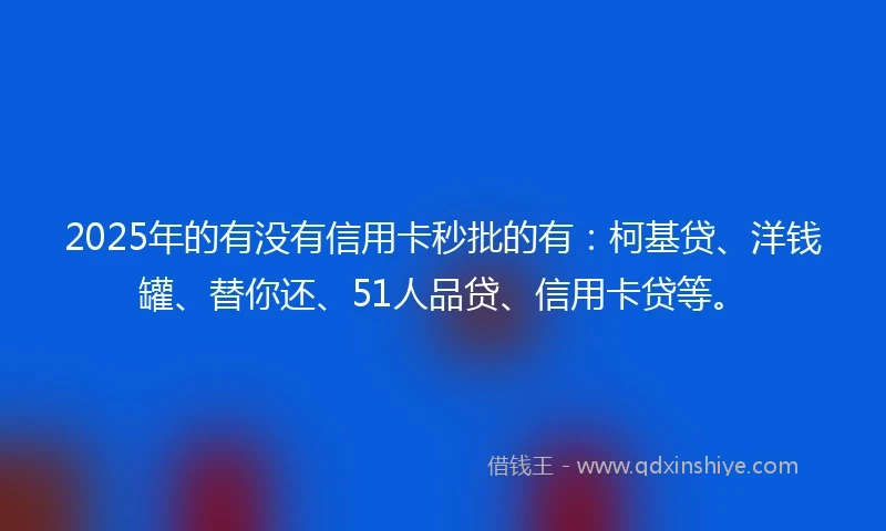 2025年的有没有信用卡秒批的有：柯基贷、洋钱罐、替你还、51人品贷、信用卡贷等。