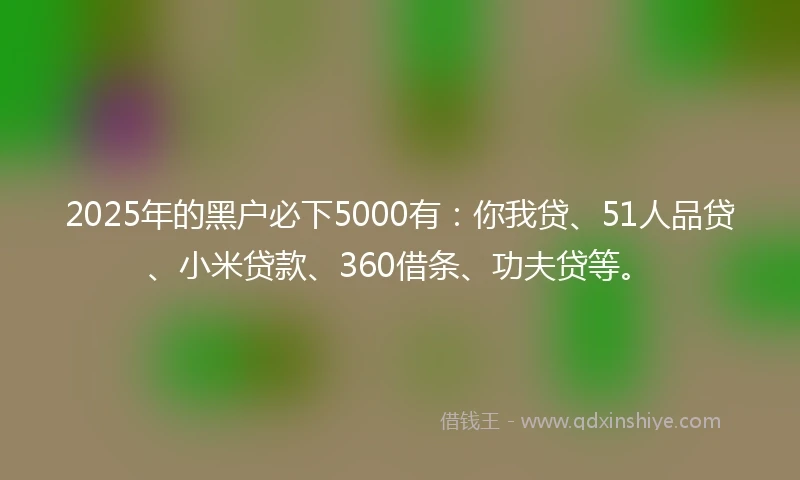 2025年的黑户必下5000有：你我贷、51人品贷、小米贷款、360借条、功夫贷等。