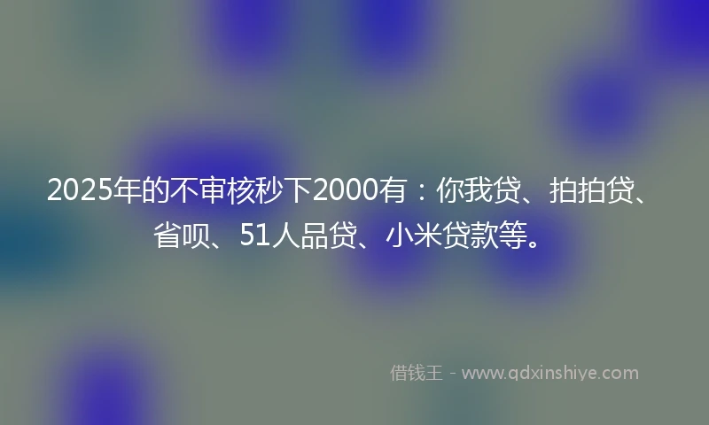 2025年的不审核秒下2000有：你我贷、拍拍贷、省呗、51人品贷、小米贷款等。