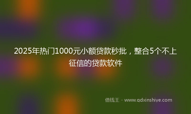 2025年热门1000元小额贷款秒批，整合5个不上征信的贷款软件