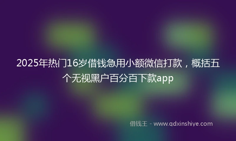 2025年热门16岁借钱急用小额微信打款，概括五个无视黑户百分百下款app