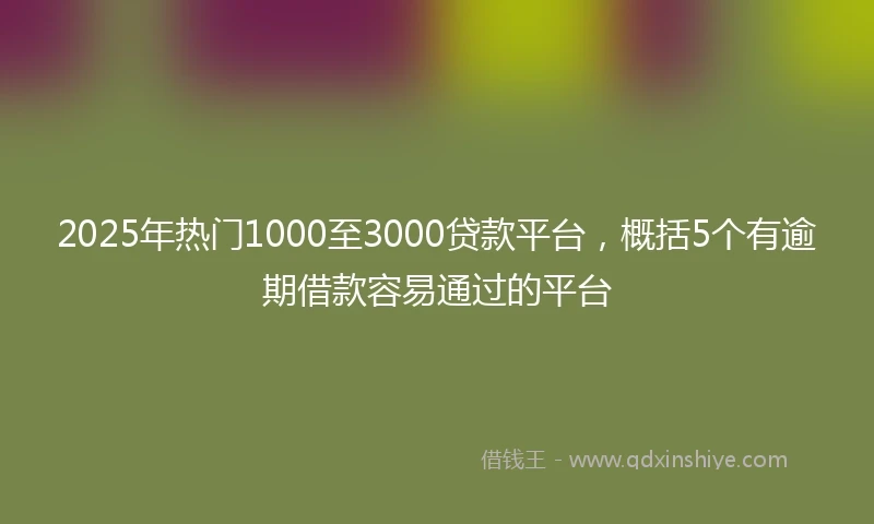 2025年热门1000至3000贷款平台，概括5个有逾期借款容易通过的平台