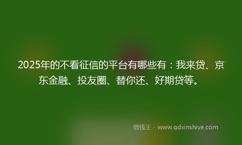 2025年的不看征信的平台有哪些有：我来贷、京东金融、投友圈、替你还、好期贷等。