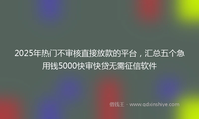 2025年热门不审核直接放款的平台,汇总五个急用钱5000快审快贷无需征信软件