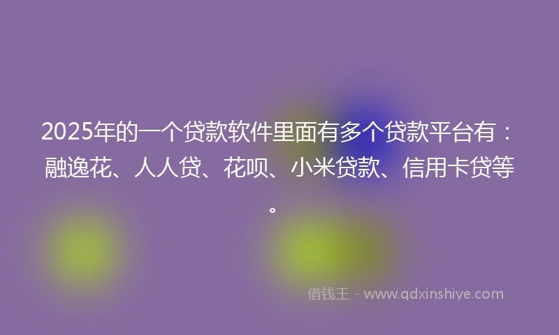 2025年的一个贷款软件里面有多个贷款平台有：融逸花、人人贷、花呗、小米贷款、信用卡贷等。
