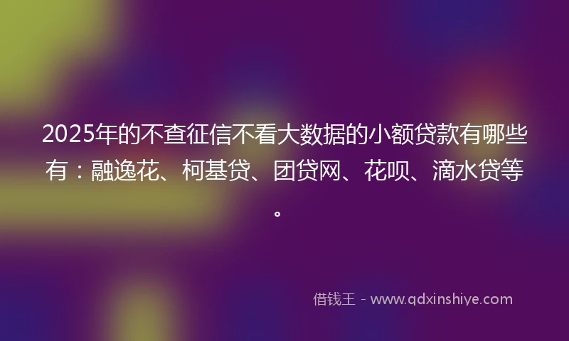 2025年的不查征信不看大数据的小额贷款有哪些有：融逸花、柯基贷、团贷网、花呗、滴水贷等。