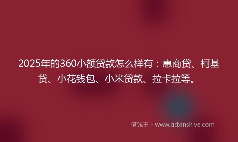 2025年的360小额贷款怎么样有：惠商贷、柯基贷、小花钱包、小米贷款、拉卡拉等。