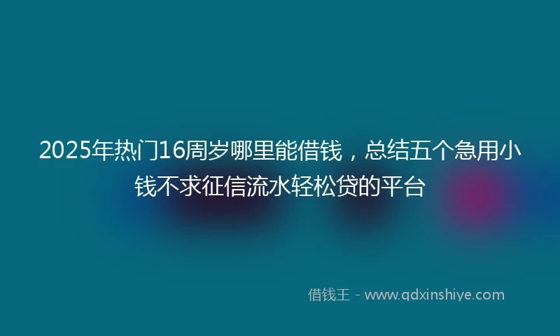 2025年热门16周岁哪里能借钱，总结五个急用小钱不求征信流水轻松贷的平台