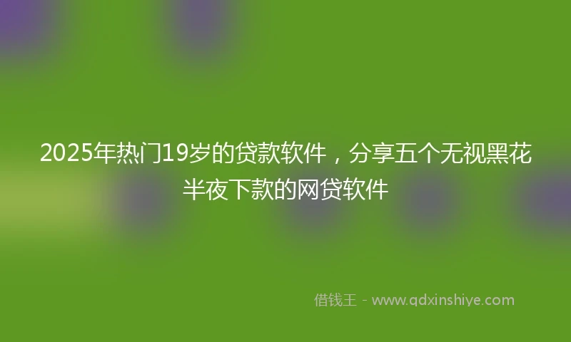 2025年热门19岁的贷款软件，分享五个无视黑花半夜下款的网贷软件