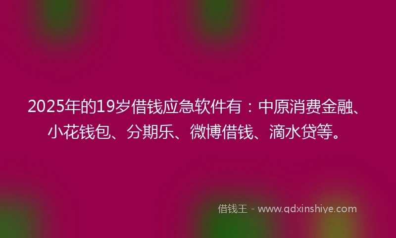 2025年的19岁借钱应急软件有：中原消费金融、小花钱包、分期乐、微博借钱、滴水贷等。
