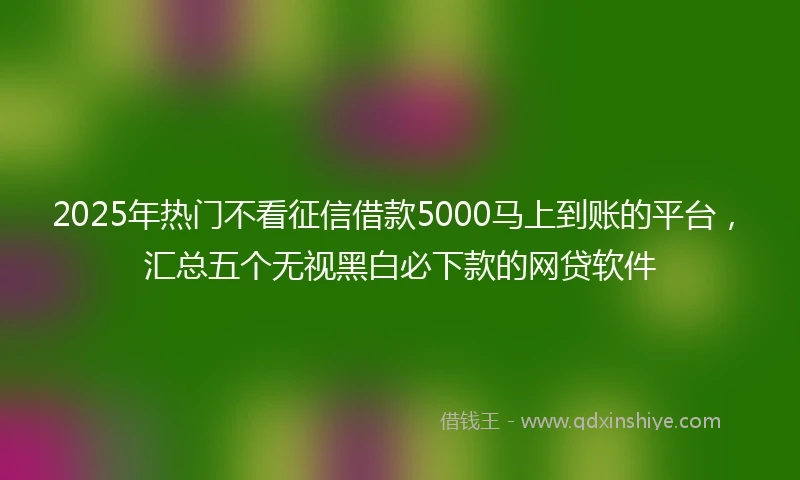 2025年热门不看征信借款5000马上到账的平台，汇总五个无视黑白必下款的网贷软件