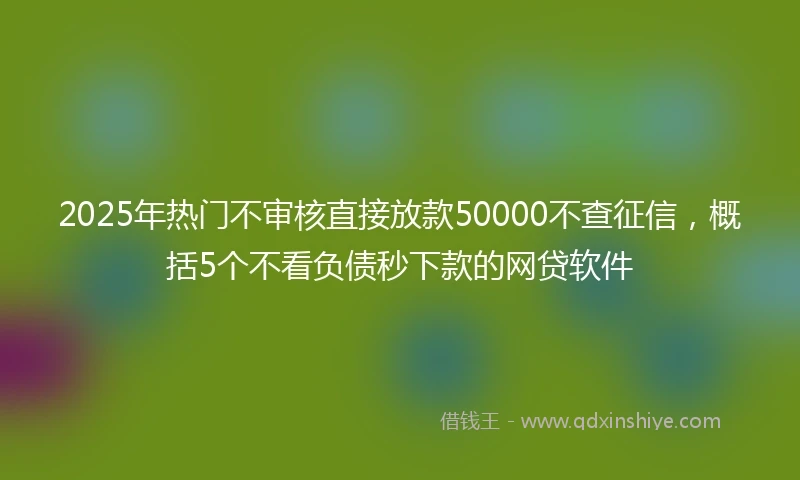 2025年热门不审核直接放款50000不查征信，概括5个不看负债秒下款的网贷软件