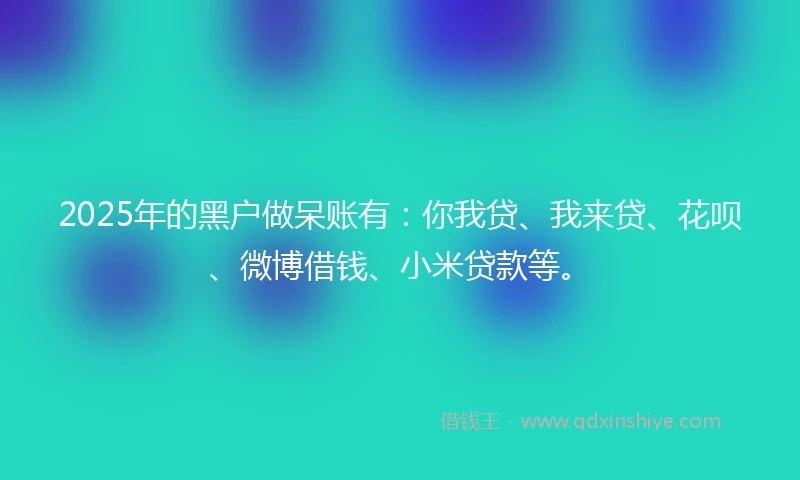 2025年的黑户做呆账有：你我贷、我来贷、花呗、微博借钱、小米贷款等。