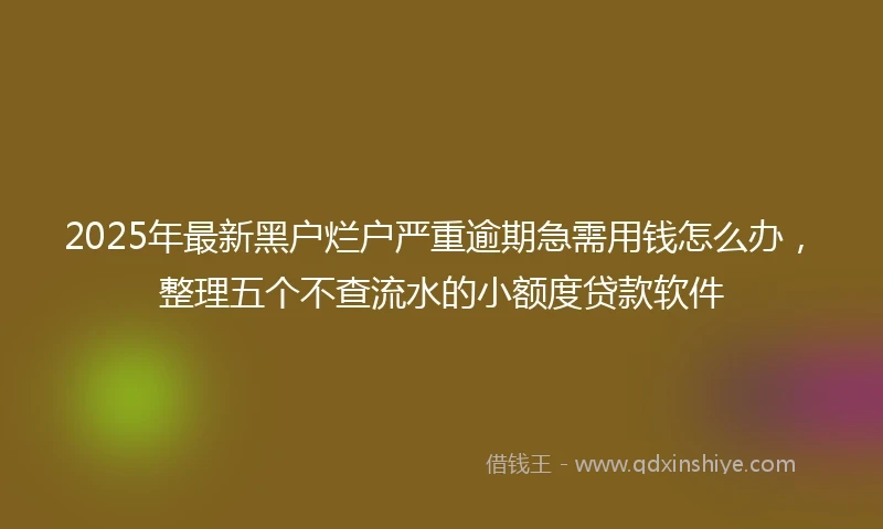 2025年最新黑户烂户严重逾期急需用钱怎么办，整理五个不查流水的小额度贷款软件